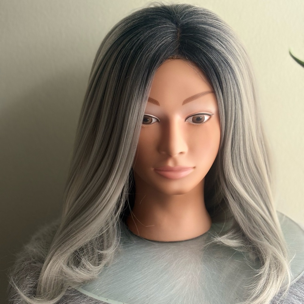 Gray Ombre Women’s Synthetic Lace Front Wig - Sleek Natural Part